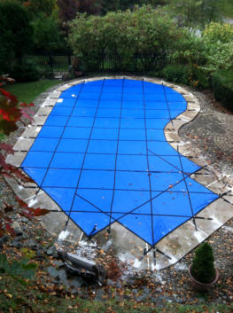 free form pool with Solid Cover